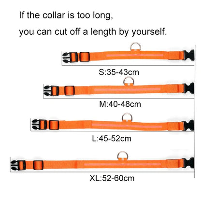 Nylon Leash & Collar with Glow-in-the-Dark Safety Feature