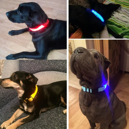 Nylon Leash & Collar with Glow-in-the-Dark Safety Feature