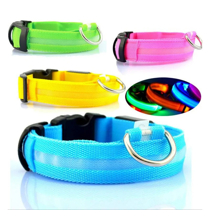 Nylon Leash & Collar with Glow-in-the-Dark Safety Feature