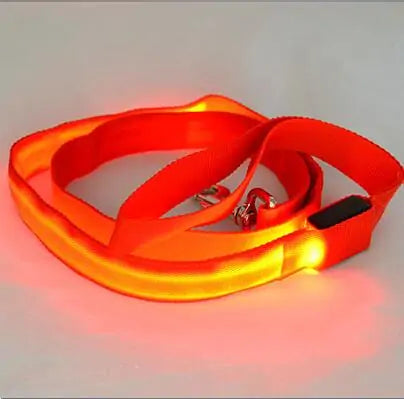 Glow In Dark Dog Leash (various colors)