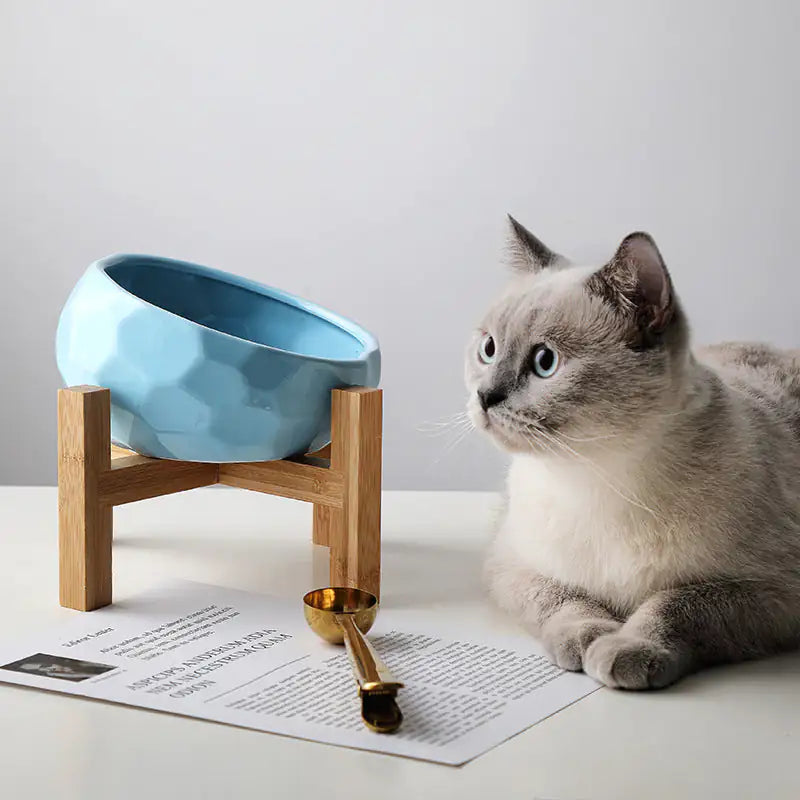 Purr-fect cat bowl & stand