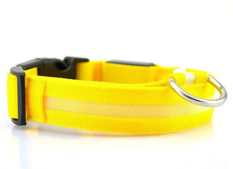 Nylon Leash & Collar with Glow-in-the-Dark Safety Feature