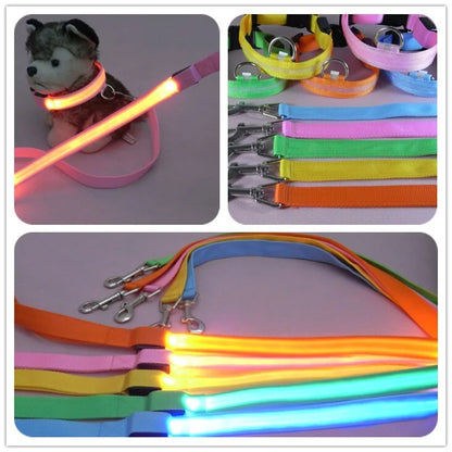 Glow In Dark Dog Leash (various colors)