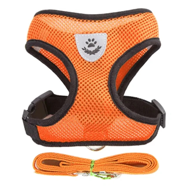 Paw Some Pet Harness