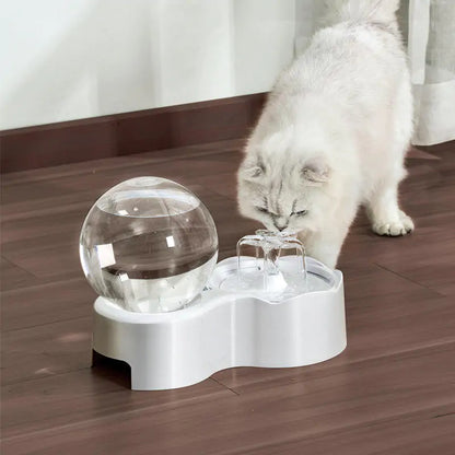 Cat and Dog Automated Fountain