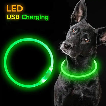 LED Waterproof Dog Collars (USB)