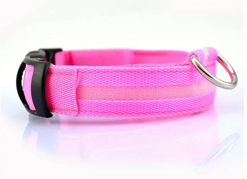 Nylon Leash & Collar with Glow-in-the-Dark Safety Feature