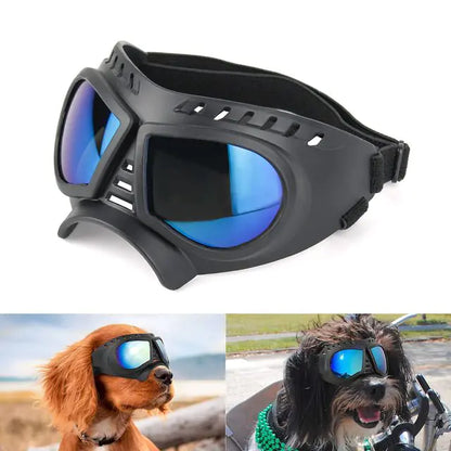 Windproof Sunglasses & Summer Goggles Dog Eye Protection