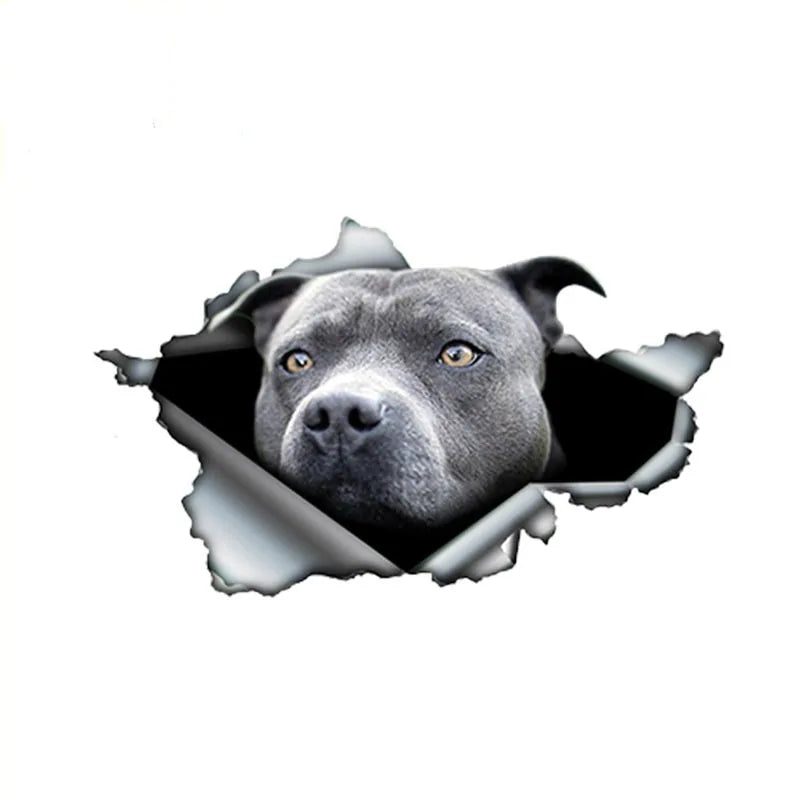 Blue Pitbull Reflective Car Sticker - Waterproof Decal