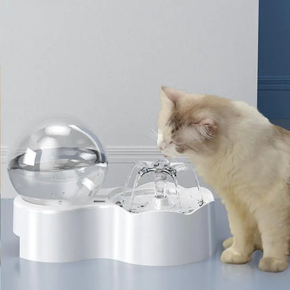 Cat and Dog Automated Fountain