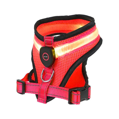 LED Lighted USB Dog Harness (various colors)