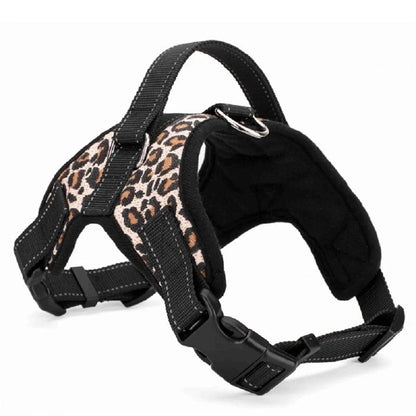 Dog Adjustable Collar & Harness