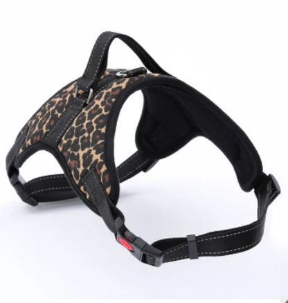 Dog Adjustable Collar & Harness