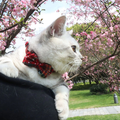 Red Bowtie Striped Cat Collar