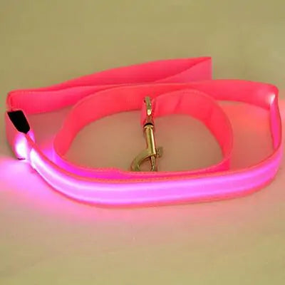 Glow In Dark Dog Leash (various colors)