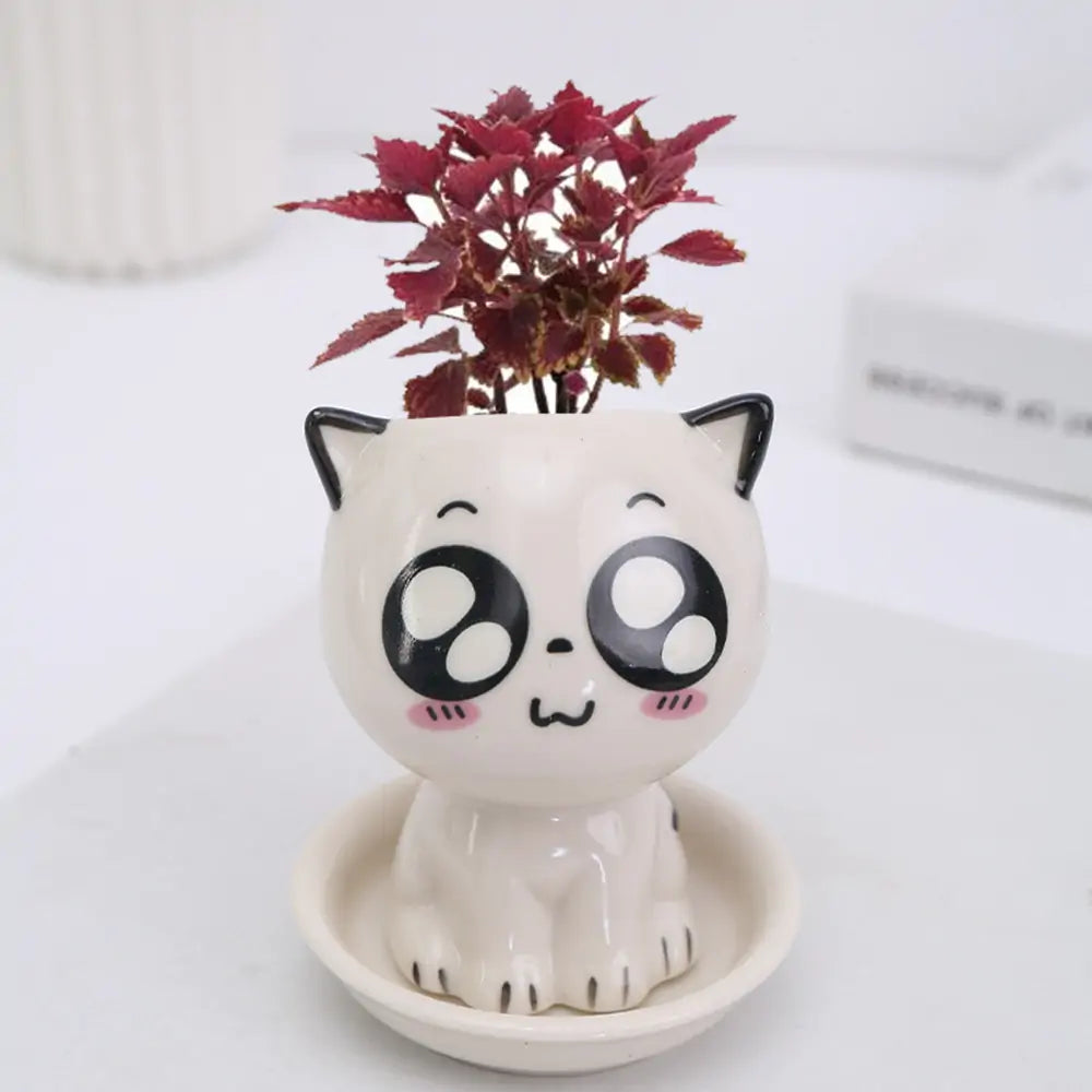 Mini Cartoon Cat Ceramic Flowerpot