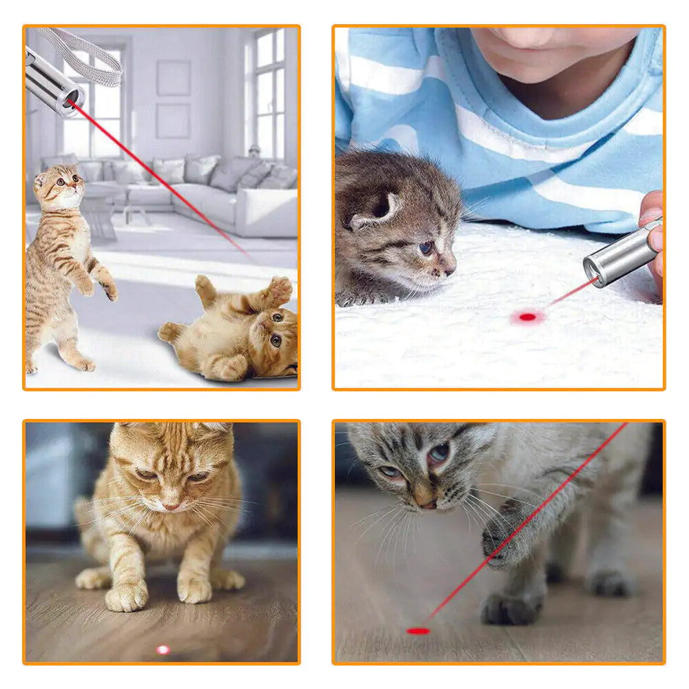 Mini Flashlight, UV Detector, Cat Laser Light, USB Rechargeable