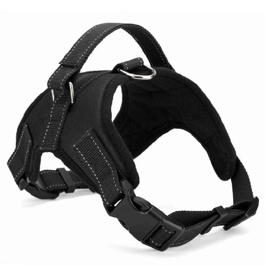 Dog Adjustable Collar & Harness