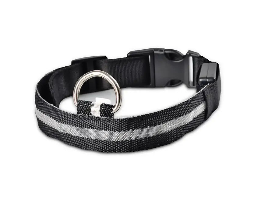 Nylon Leash & Collar with Glow-in-the-Dark Safety Feature