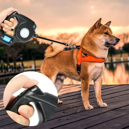 LED Dog Leash Lead