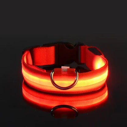 Flashing Glow LED Dog Collar (USB)