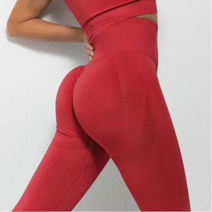 ASHEYWR Fitness Sport Seamless Leggings (various colors)