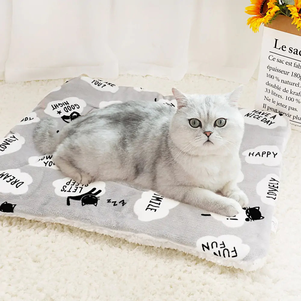 Soft Dog / Cat Blanket