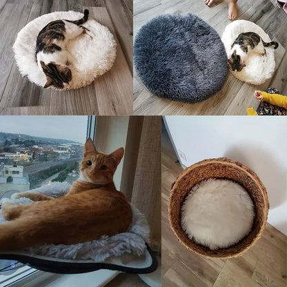 Round Dog Bed (various colors)