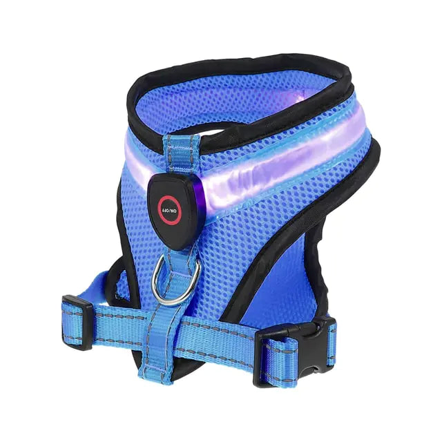 LED Lighted USB Dog Harness (various colors)