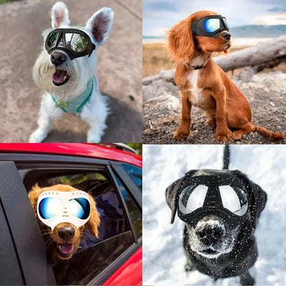 Windproof Sunglasses & Summer Goggles Dog Eye Protection