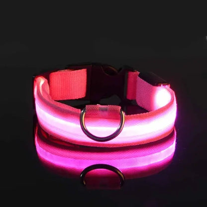 Flashing Glow LED Dog Collar (USB)