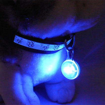 Pet Glowing Night Safety Collar Pendant