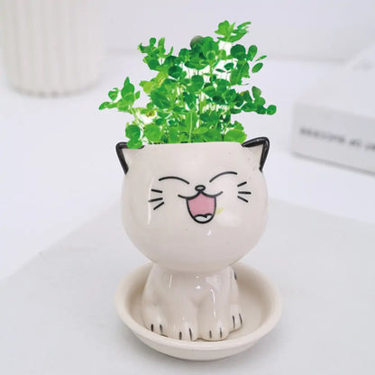 Mini Cartoon Cat Ceramic Flowerpot