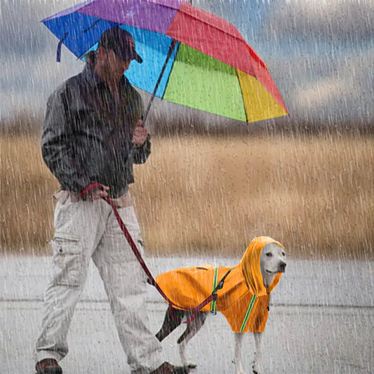 Spring & Summer Dog Raincoat (various colors)