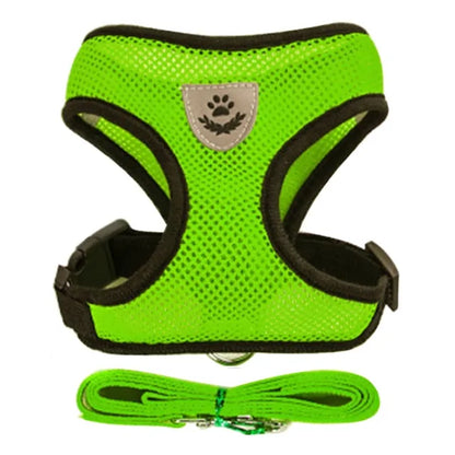 Paw Some Pet Harness