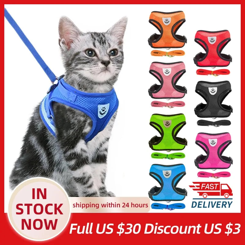 Paw Some Pet Harness