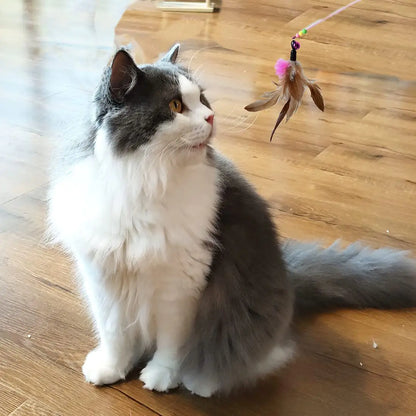 Interactive Feather & Ball Cat Toys