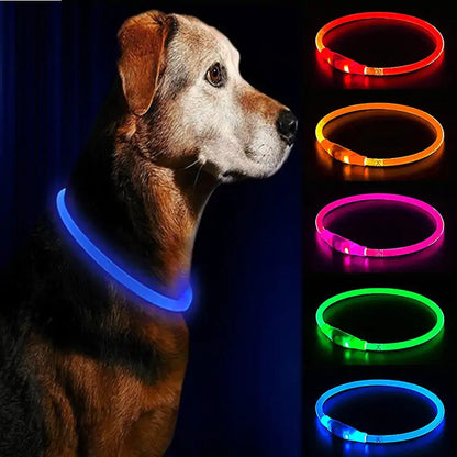 LED Waterproof Dog Collars (USB)