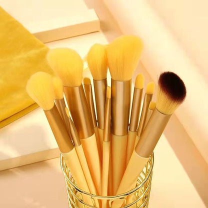 13 Piece Makeup Brush Sets (various colors)