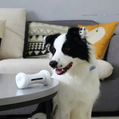 Pet Induction Interactive Toy & App (various colors)