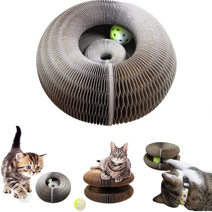 2-in-1 Cat Scratching Toy