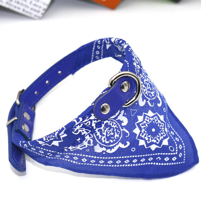 Small Pet Collar with Adjustable Leather Scarf (many colors)