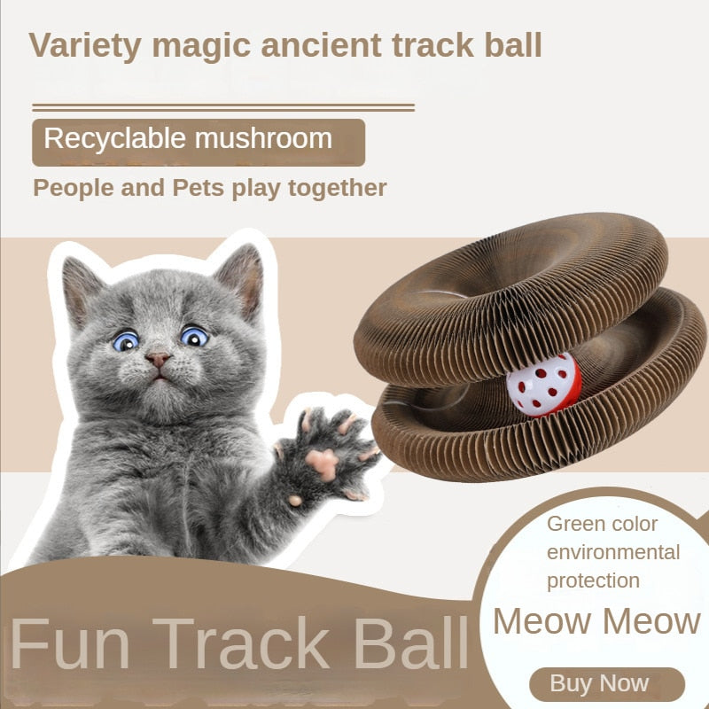 Trackball Mushroom - Cat Scratch Board