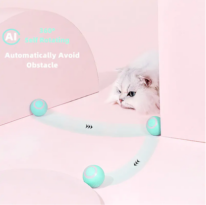 Smart Cat Ball - Unleash a World of Entertainment