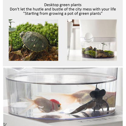 Automatic Aquarium Water-Absorbing Flowerpots