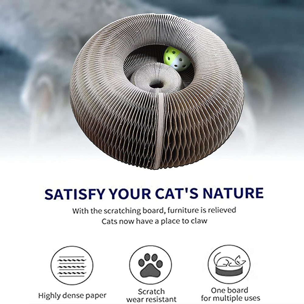 2-in-1 Cat Scratching Toy