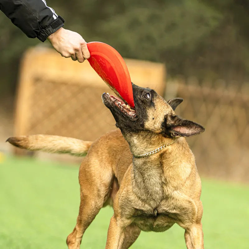 Dog rubber flying disc - Online Pet Toys