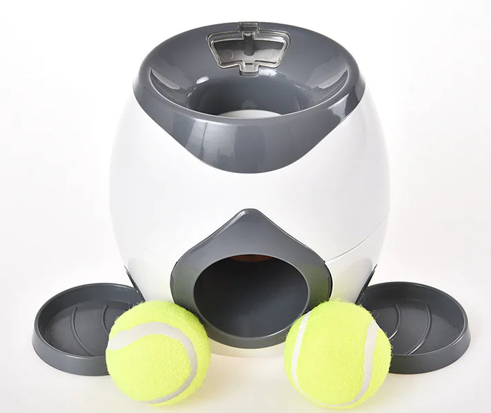 Smart Pet Feeder with Remote Control