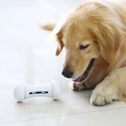 Pet Induction Interactive Toy & App (various colors)