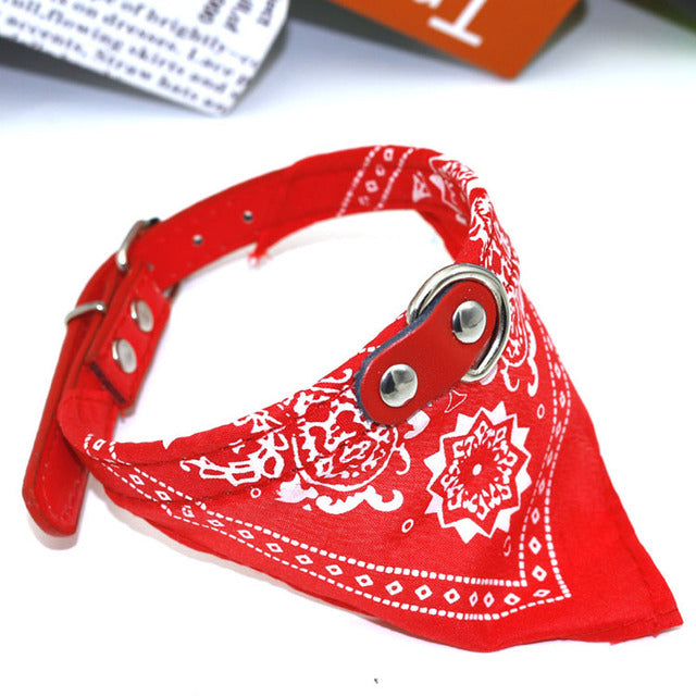 Small Pet Collar with Adjustable Leather Scarf (many colors)